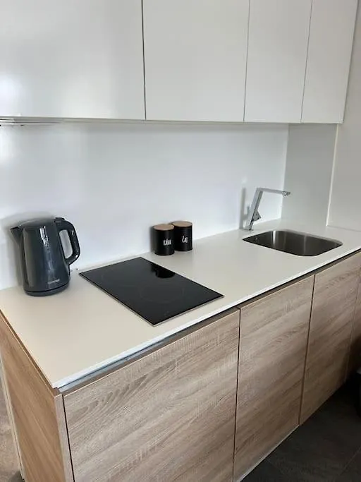 Palac Anezka C1 Brno Apartment