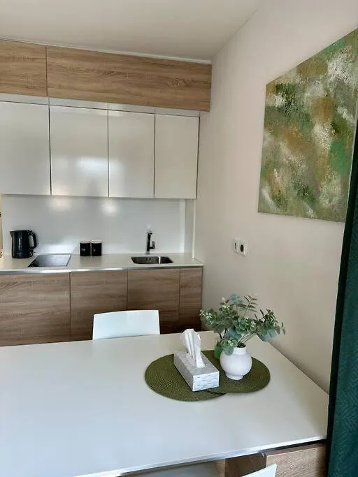 Palac Anezka C1 Brno Apartment